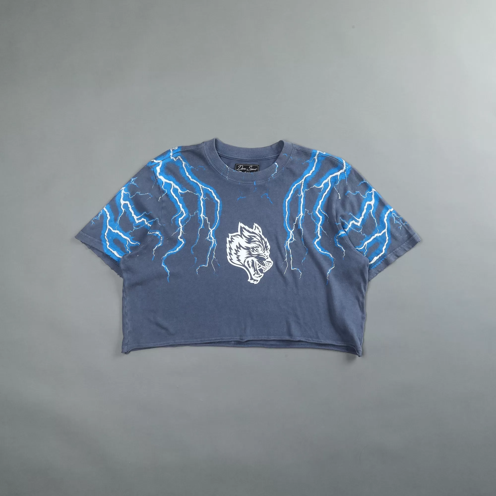 Fashion Above Us "Premium Vintage" Distressed (Cropped) Tee In Norse Blue Women Tops
