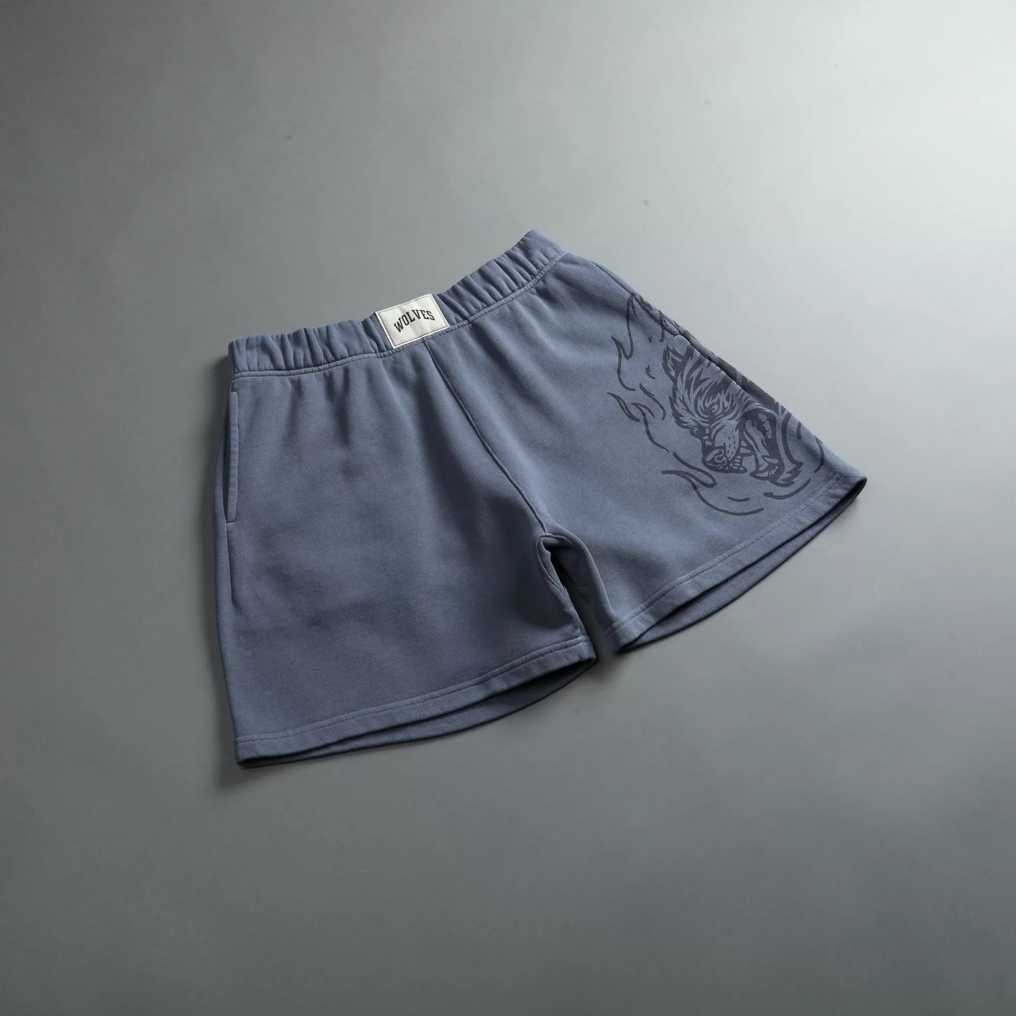 Discount Fired Up Patch Liam Sweat Shorts In Norse Blue Men Shorts