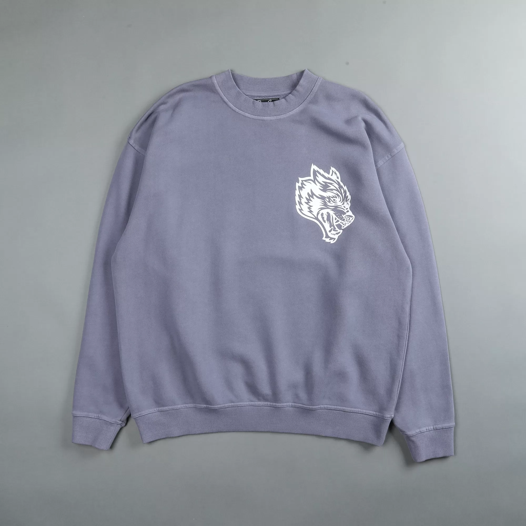 Shop House Of Wolves "Vintage Cornell" Crewneck In Norse Purple Men Crewnecks