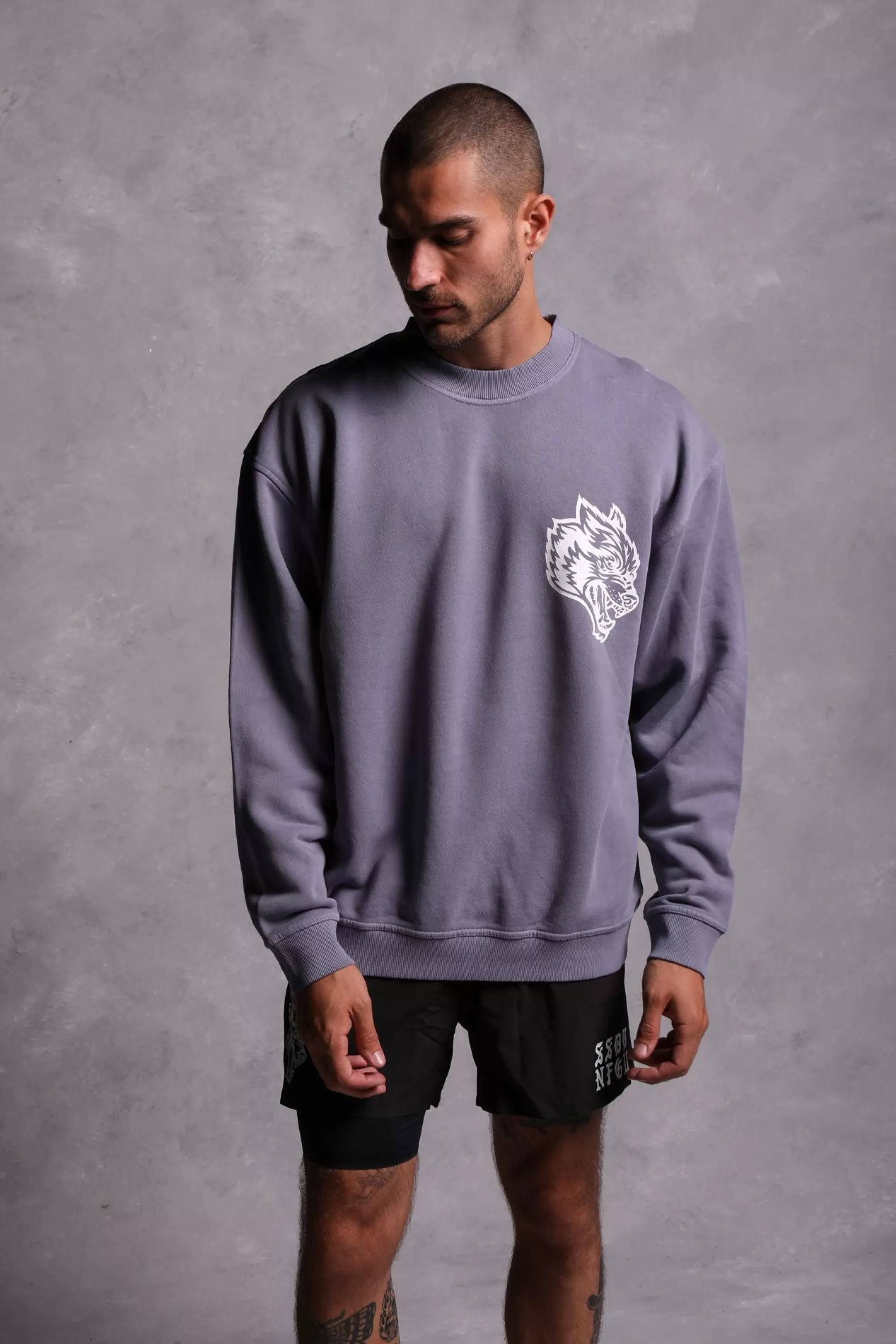 Shop House Of Wolves "Vintage Cornell" Crewneck In Norse Purple Men Crewnecks