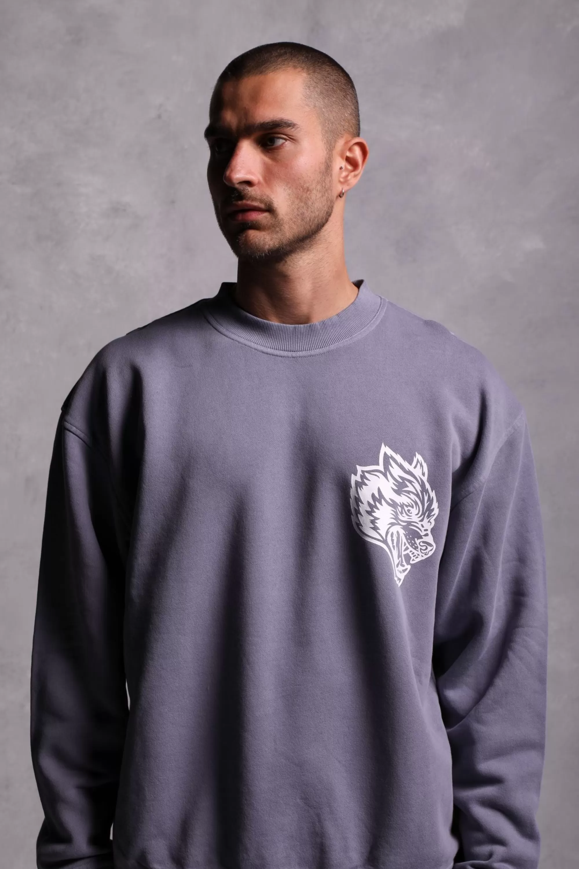 Shop House Of Wolves "Vintage Cornell" Crewneck In Norse Purple Men Crewnecks