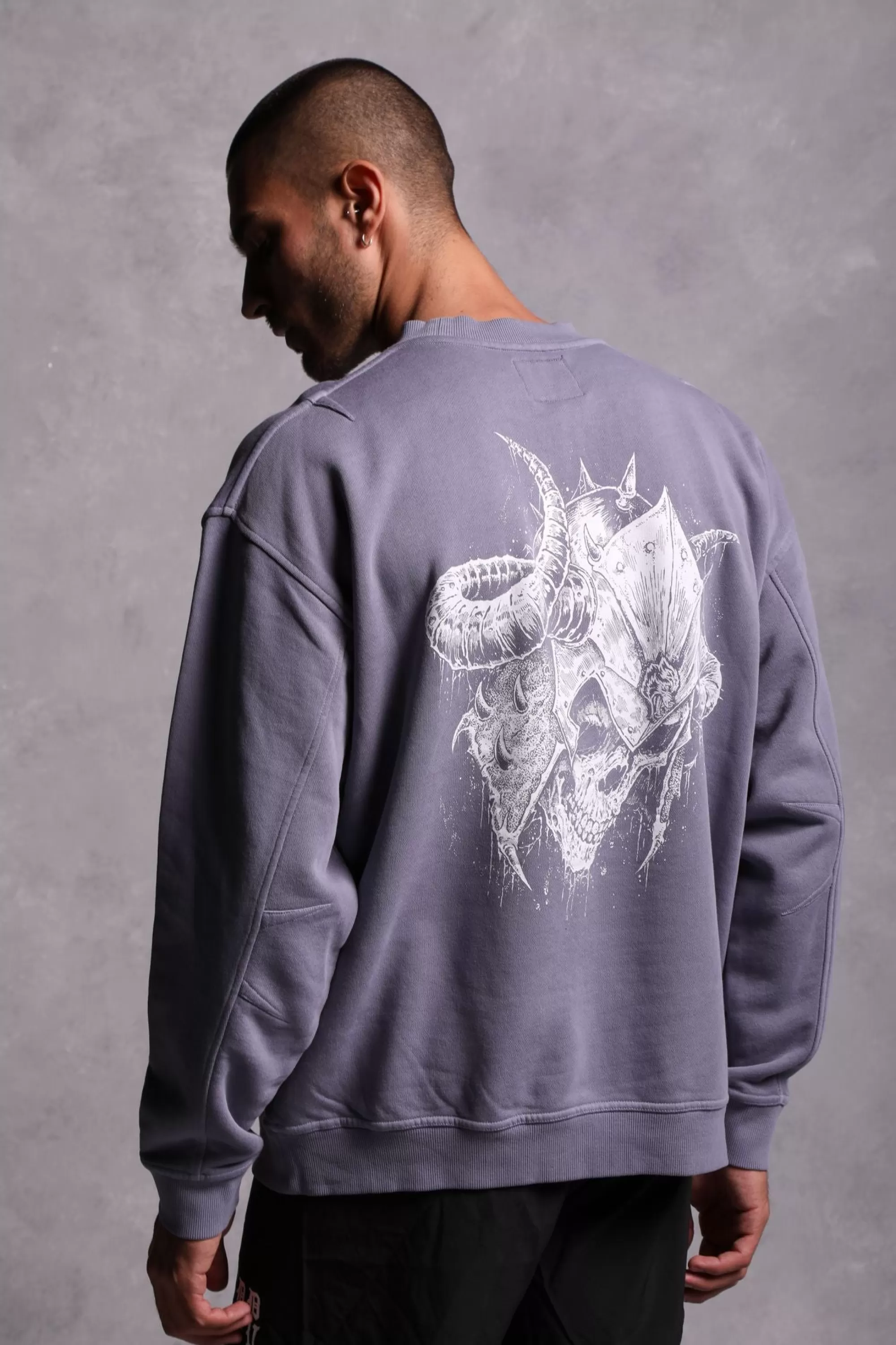 Shop House Of Wolves "Vintage Cornell" Crewneck In Norse Purple Men Crewnecks