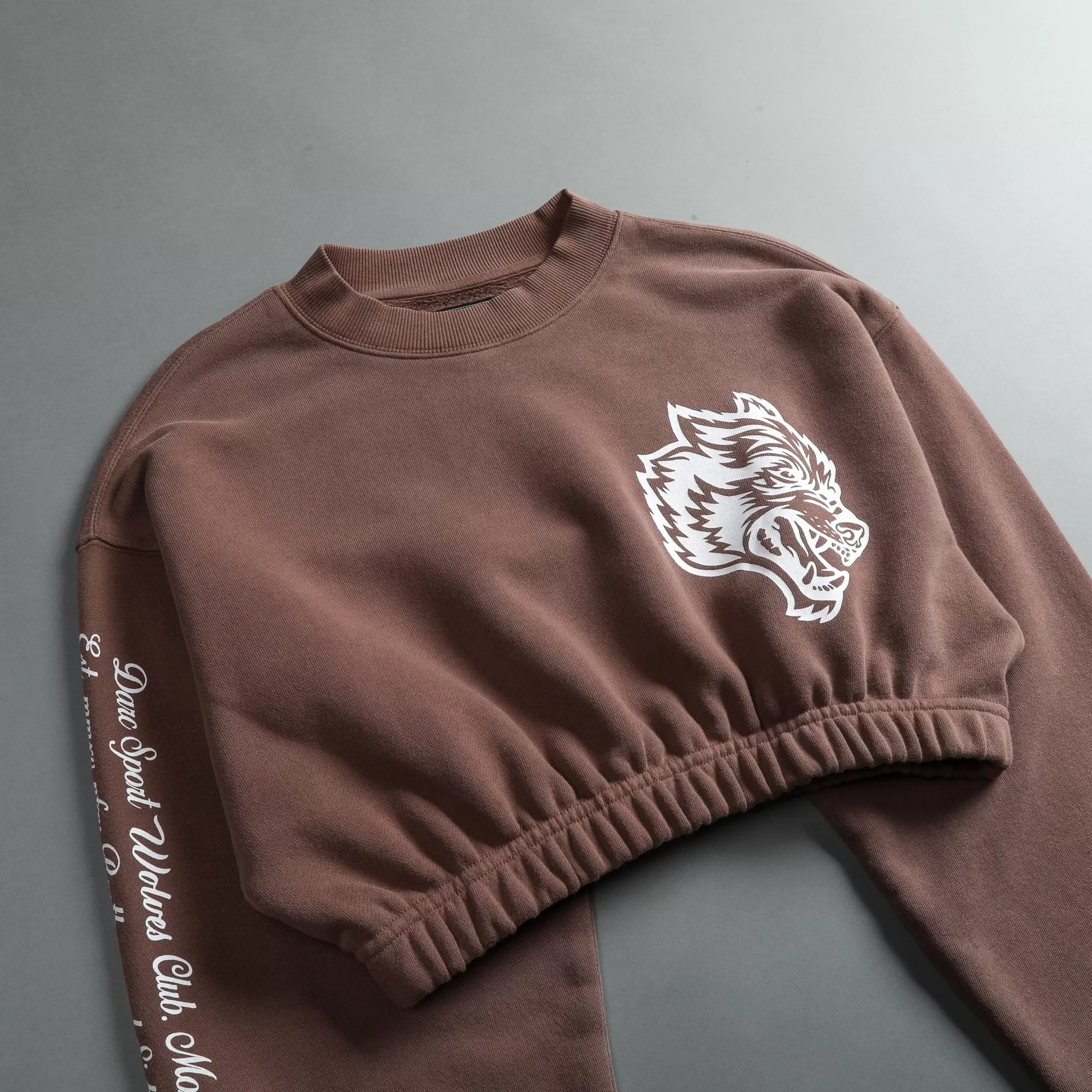 Best In Our Heart "Vintage Gwen" (Cropped) Crewneck In Norse Brown Women Tops