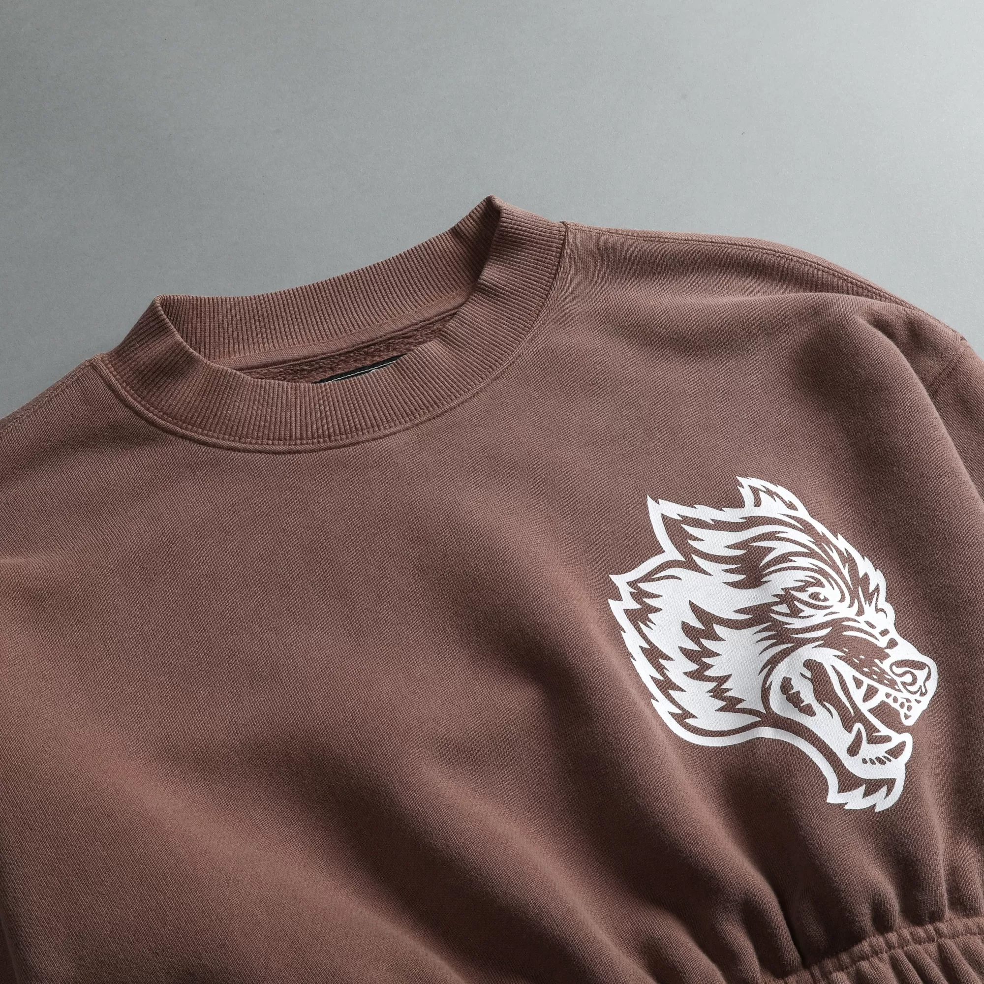 Best In Our Heart "Vintage Gwen" (Cropped) Crewneck In Norse Brown Women Tops