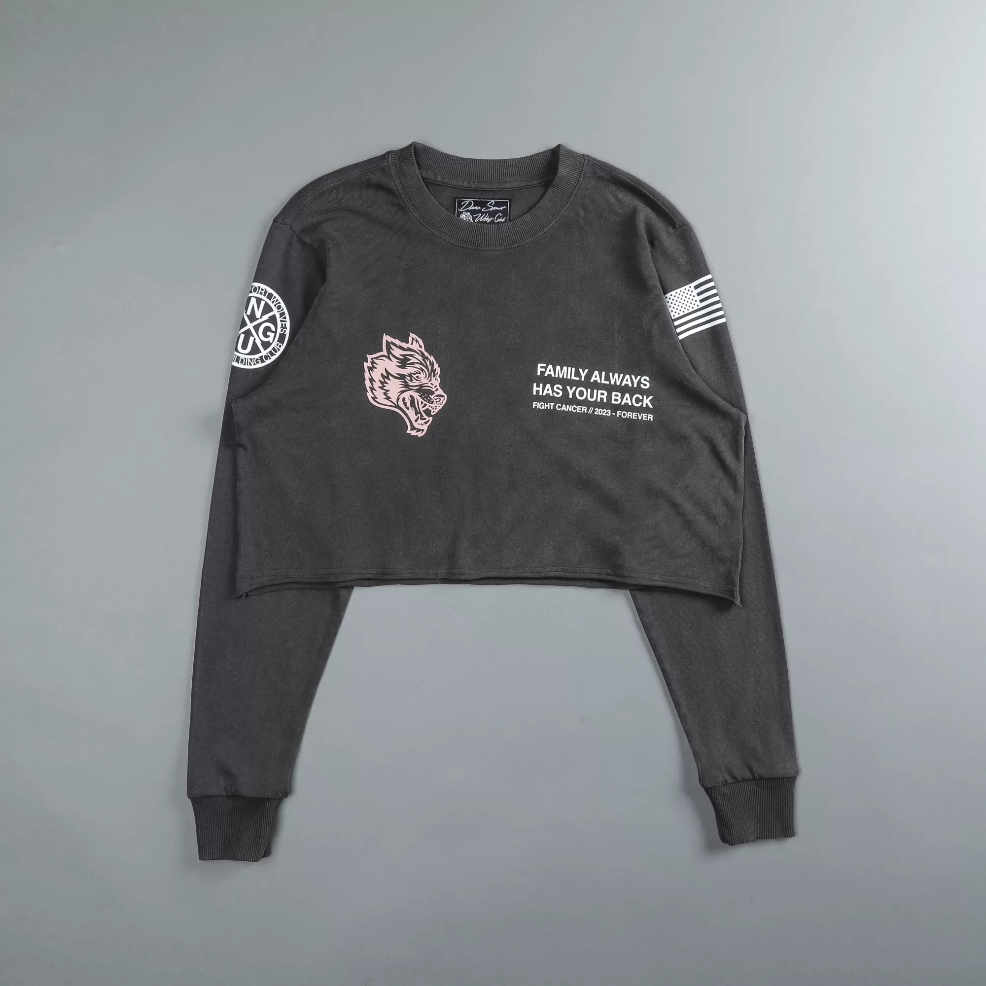 Flash Sale Pray "Premium Vintage" (Ls Cropped) Tee In Wolf Gray Women Tops