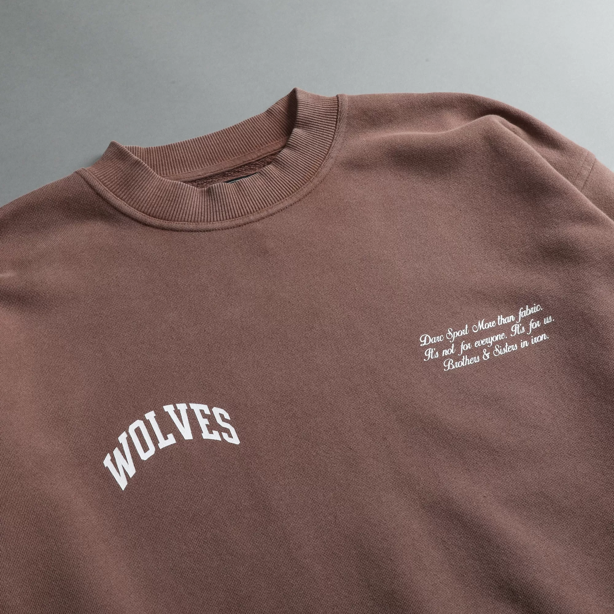 Best Sewn Together "Vintage Cornell" She Crewneck In Norse Brown Women Tops