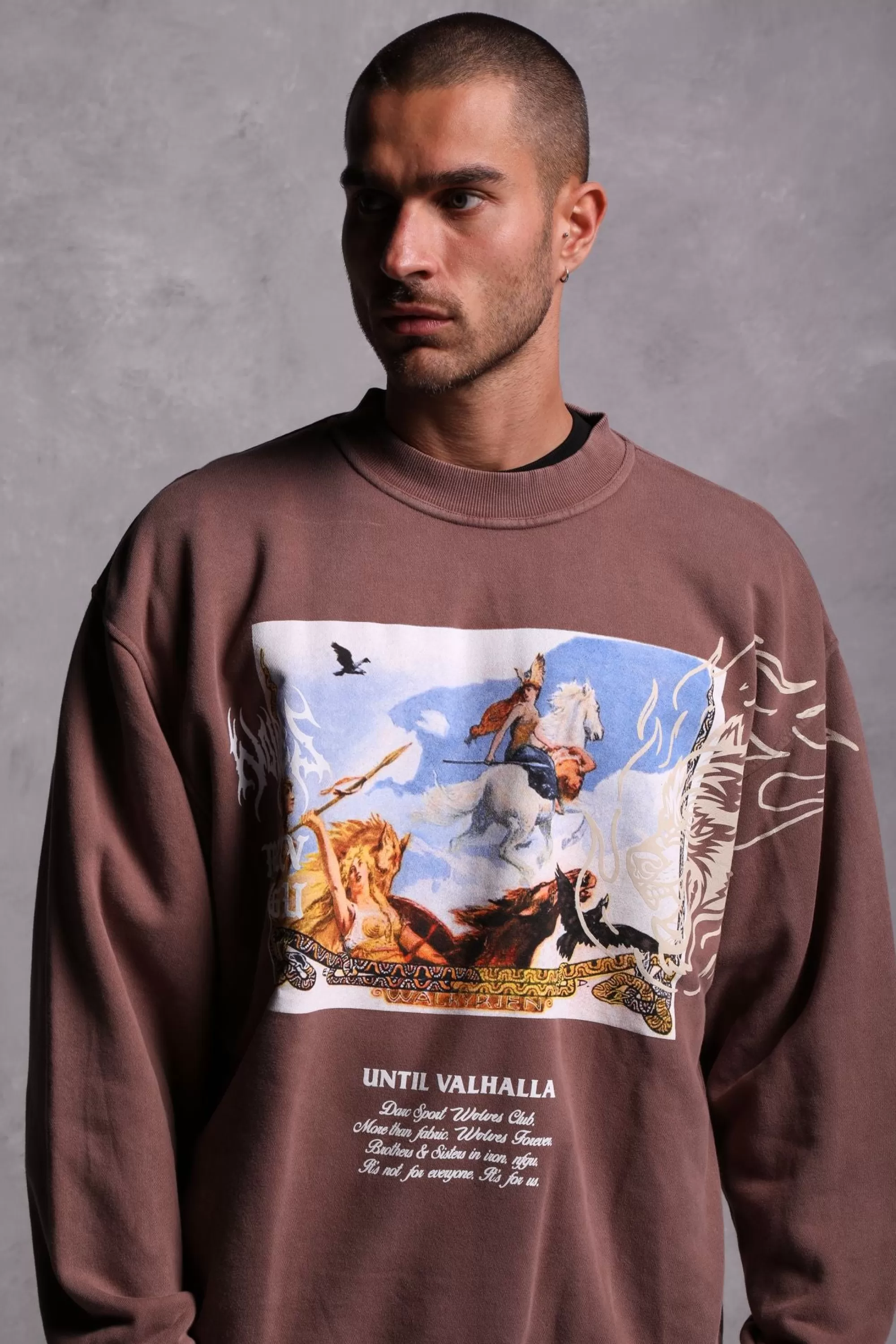 Sale Until Our End "Vintage Cornell" Crewneck In Norse Brown Men Crewnecks